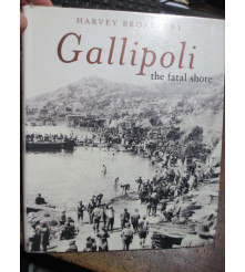 Gallipoli the Fatal Shore...